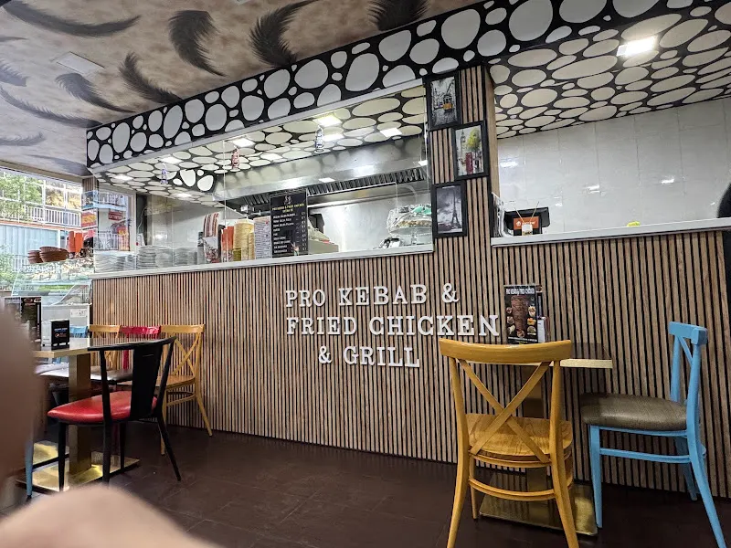 Pro Kebab & Fried Chicken & Grill