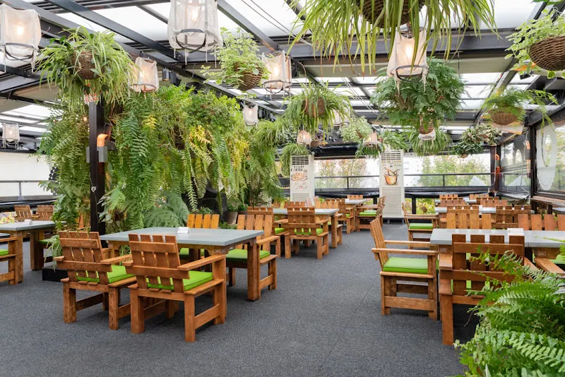 La Gran Pulpería - Restaurante gallego en Madrid - foto 2