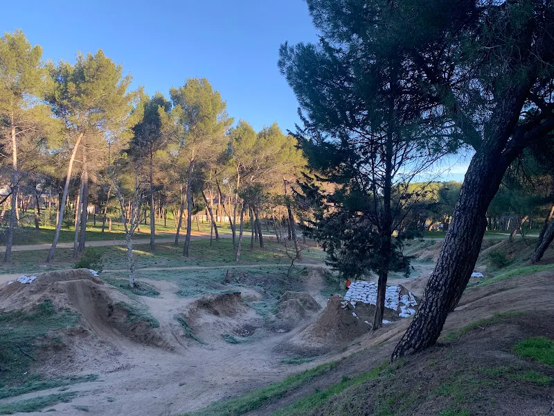 Pinar Conde de Orgaz (oeste)