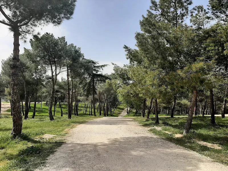 Pinar Conde de Orgaz (oeste) - Parque en Madrid - foto 2