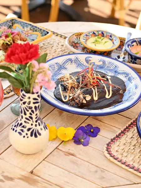 Frida Kahlo Gastro Galeria