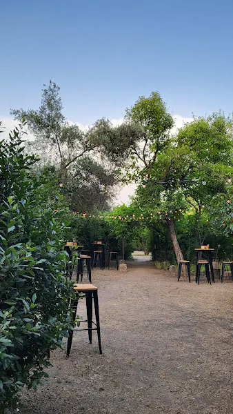 Restaurante El Olivar de Castillejo - Madrid