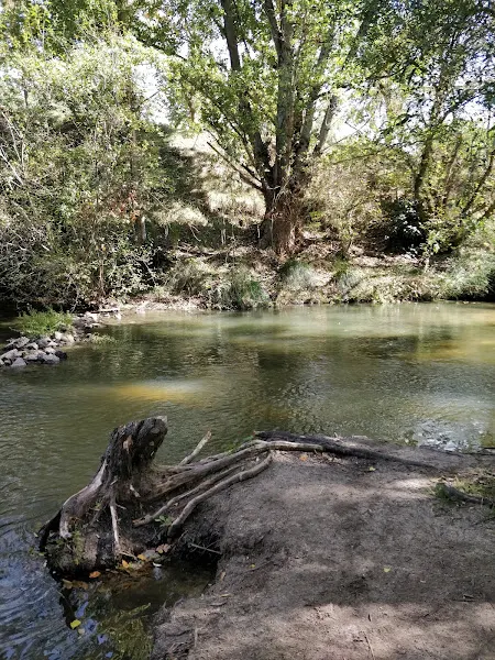 Bar Rutilo