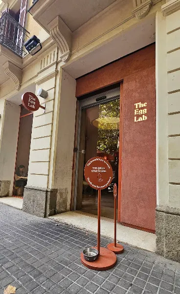 The Egg Lab