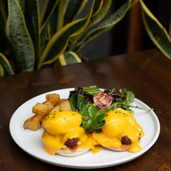 Belliny Brunch Born