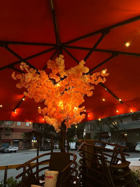 PANKOFI - Cafetería en Barcelona - foto 2