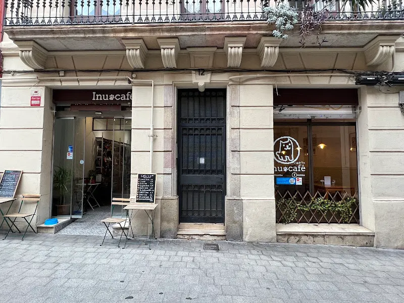 Inu café - Cafetería en Barcelona - foto 2